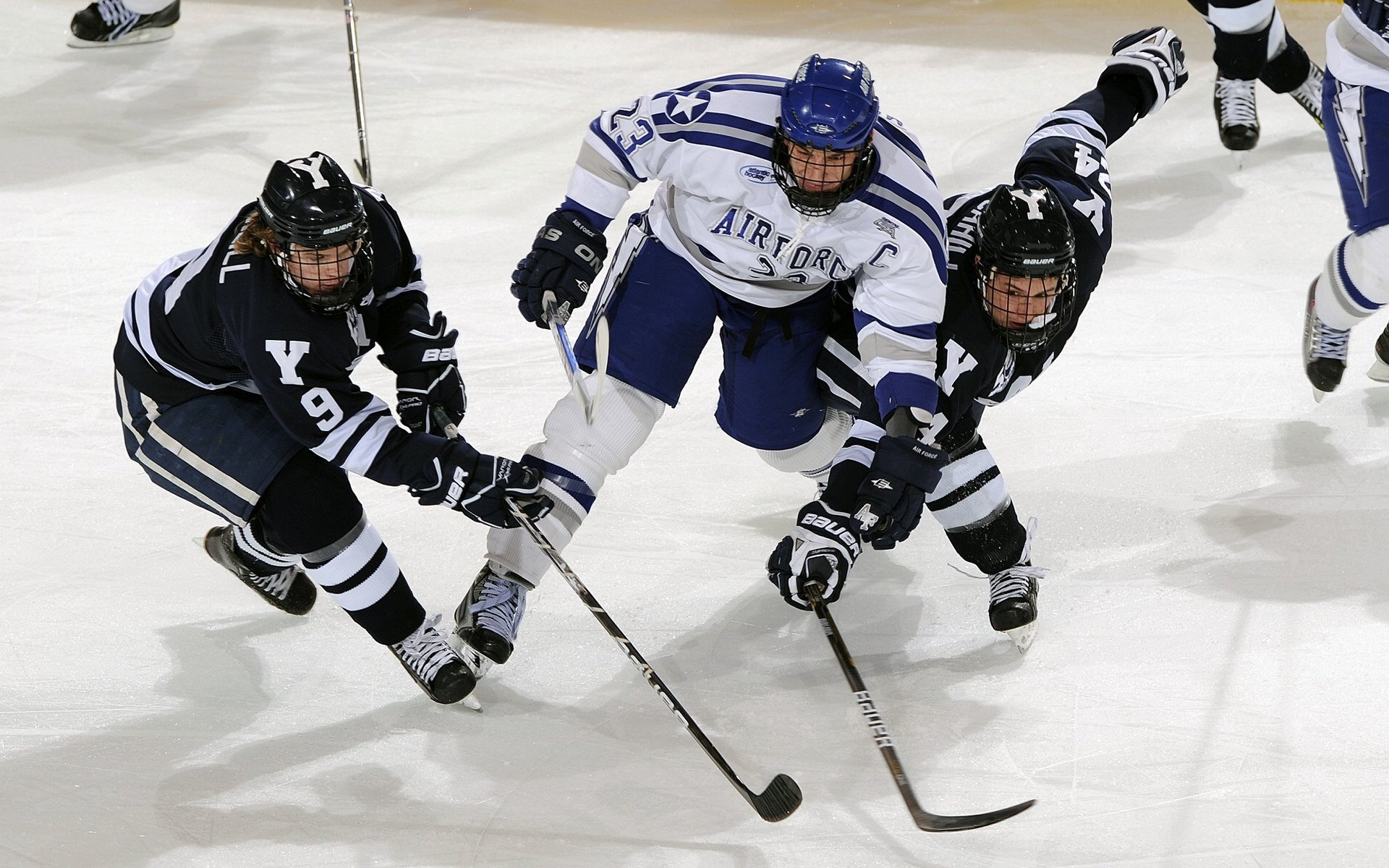 世界帆船赛中国队首夺混合组冠军,世界级帆船锦标赛赛场